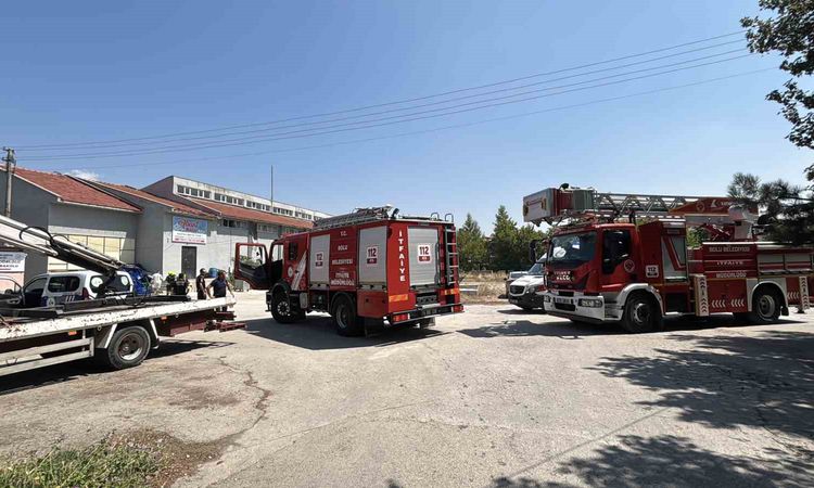 Son Gelişme: Bolu'da ilaçlama dumanı alevler paniği yarattı - Son Dakika Haberleri: Gelişmeler Takip Ediliyor