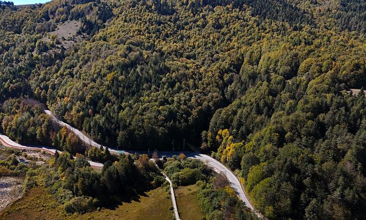 Entry to forests in Bolu is prohibited until September 30 - News