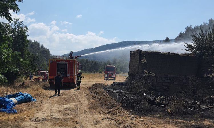 Sıcak Gündem: Bolu'da ot alevlerı eve sıçradı - Son Dakika: Gelişmeler Takip Ediliyor