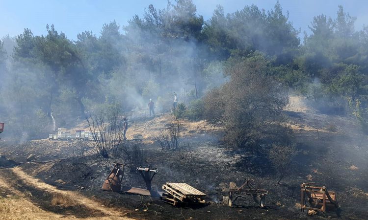 Bolu’da otluk alanda çıkan alevler ormanlık alana sıçramadan söndürüldü - Son Dakika - Son Dakika Bilgileri