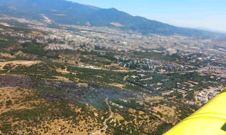 The flames in Bornova are under control - Breaking News