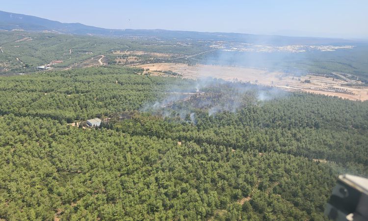 Ayrıntılar Netleşti: Buca’daki orman alevlerı dizginlendi - Son Dakika | İşte Tüm Ayrıntılar