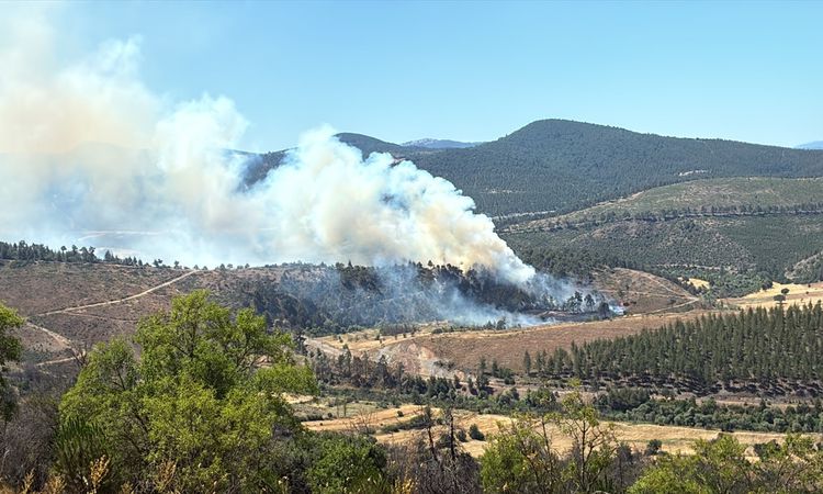 The forest fires in Bursa are being intervened - Breaking News