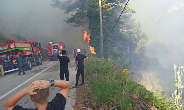 Bursa'da orman alevlerı 2 saatte dizginlendi - Haberleri: Gelişmeler Takip Ediliyor