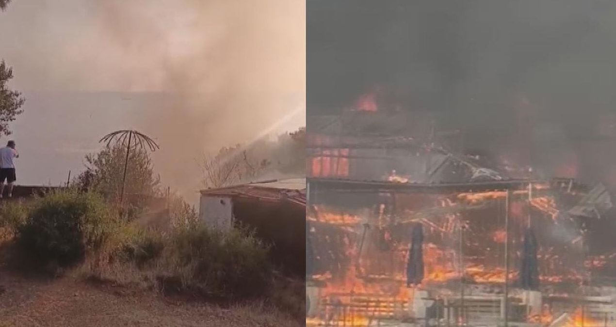 The fire on the beach in Büyükada spread to the forest and was extinguished - Latest News