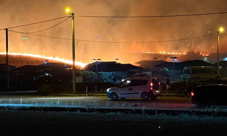 Ayrıntılar Netleşti: Çanakkale'de çıkan ot alevlerı 1,5 saatte dizginlendi - Haberleri: Gelişmeler Takip Edili