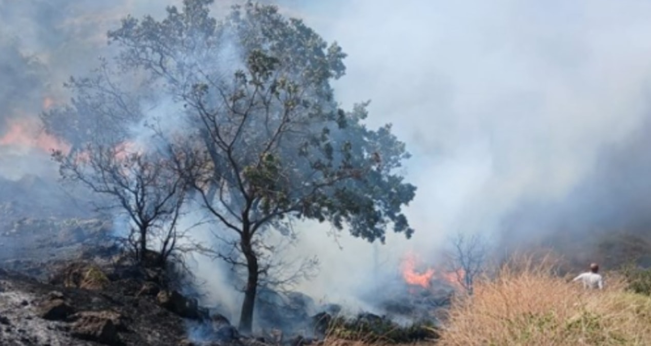 Kritik Açıklama: Çanakkale'de tarım arazisinde yangın! Müdahale devam ediyor - Haberleri