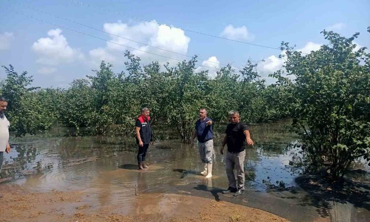Son Gelişme: Çarşamba'da 30 Mahallede Hasar Tespit Çalışmaları Sürüyor - Son Dakika Haberleri ve Merak Edilenl