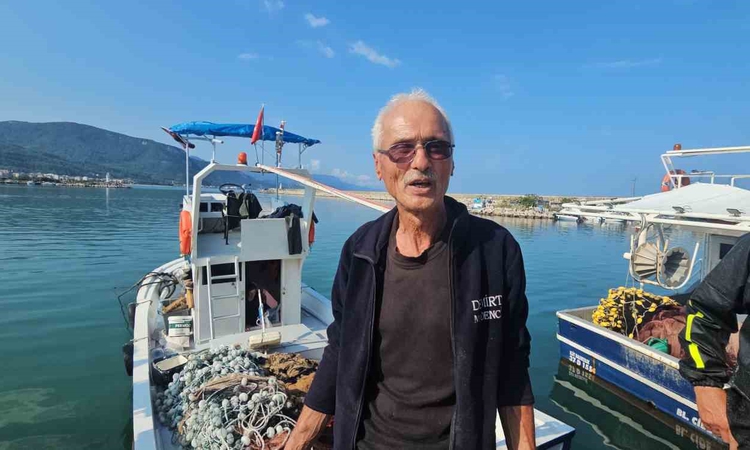 Cide'de balıkçılar kasa kasa palamutla dönüyor, tanesi 75 liraya satılıyor - Son Dakika Bilgileri