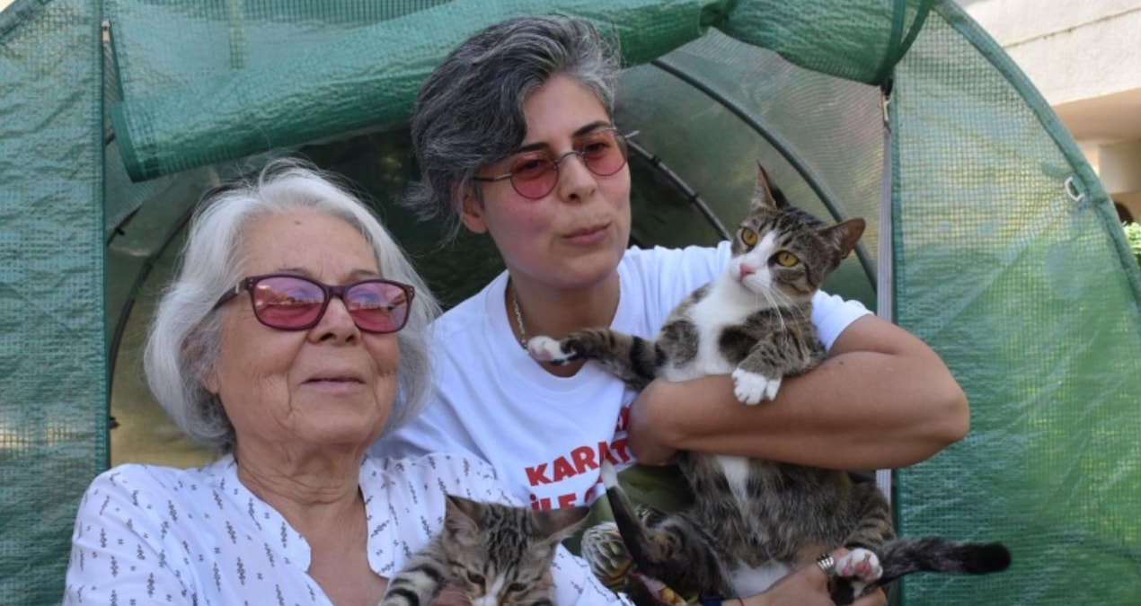 Kritik Açıklama: Çift cinsiyetli olduğu doğumda gözler önüne serildi - Son Dakika Haberleri ve Merak Edilenler