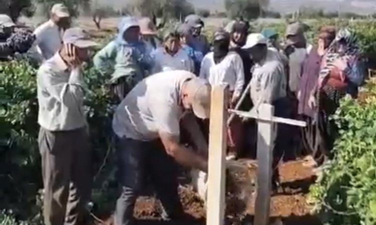 Çiftçi üzümün selasını okudu