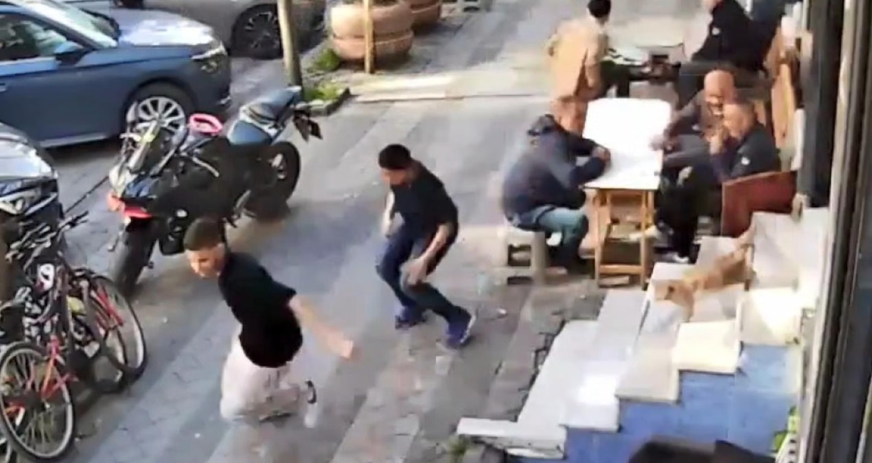 Son Gelişme: Çılgın kedi kuaförü birbirine kattı! Müşteriler merdivenden atlayarak kaçtı - Son Dakika Haberler