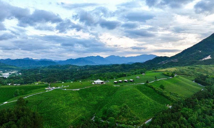 Çin'de Kırsal Gelir Artışı: Yoksullukla Mücadele Kazanımları Güçleniyor - Son Dakika Bilgileri
