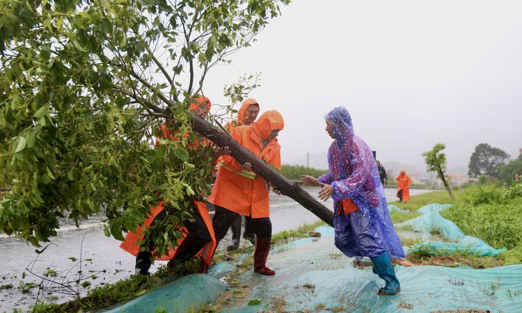 Son Gelişme: Çin, tayfun ve su baskını felaketleri için 6 eyalete 180 milyon yuan acil yardım fonu gönderdi -