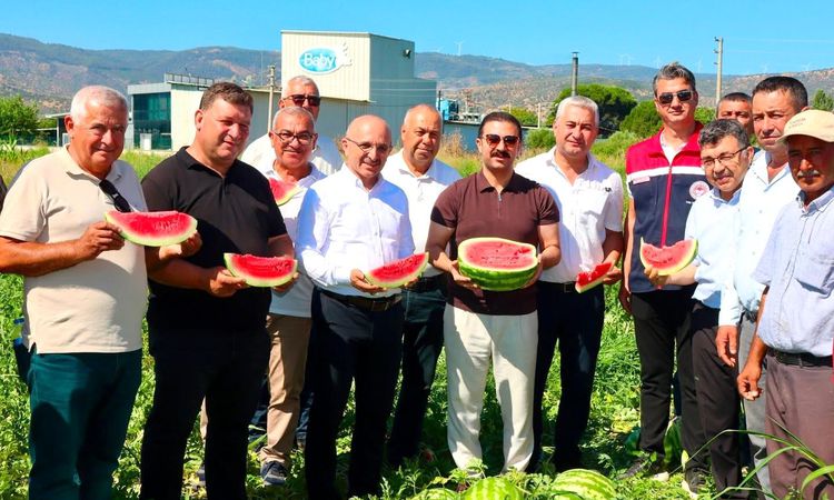 The first harvest excitement occurred in Cincin watermelon - News