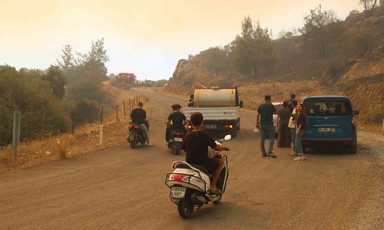 Kritik Açıklama: Çine’de alevlere karşı omuz omuza mücadele - Son Dakika ve Merak Edilenler