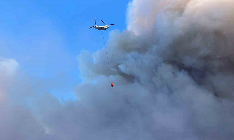 Son Gelişme: Çine orman alevlerına 4 helikopter 2 uçak havadan müdahale ediyor - Son Dakika | İşte Tüm Ayrıntı