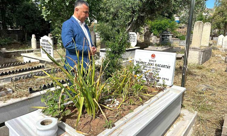 July 15 resistance in Cizre: 'Citizens listened to the will, not the ban' - News