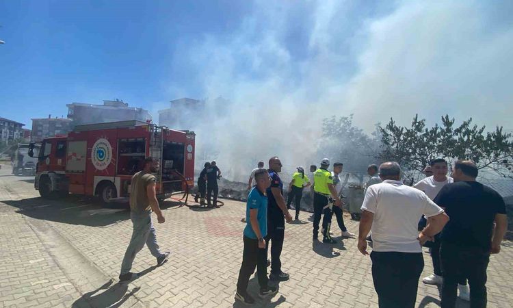 Ayrıntılar Netleşti: Çorlu'da Ot Yangını Tır ve İki Araca Sıçradı - Haberleri ve Merak Edilenler
