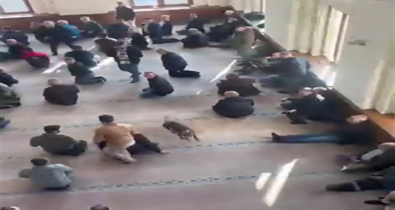 Gündemden Son Bilgiler: Cuma namazı öncesi camide pitbull paniği! Sahibine adli ve idari işlem yapıldı - Haber