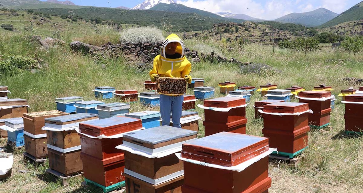 Dedesinin terk ettiği köye döndü, 50 kovanla üretime resmen start aldı - Son Dakika ve Merak Edilenler