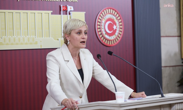 DEM'li Koca, 125 kişinin öldüğü İskenderun Devlet Hastanesi için soru önergesi verdi | İşte Tüm Ayrıntılar