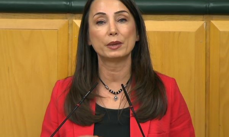 DEM Parti Eş Başkanı Hatimoğulları Suudi Arabistan'a asker gönderilmesine karşı çıktı ve Merak Edilenler