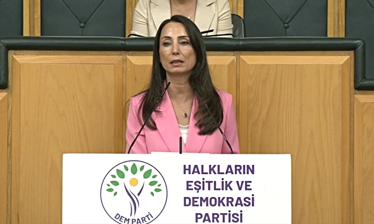 Hatimoğulları from DEM Party: Let's pass the framework law in July - Breaking News