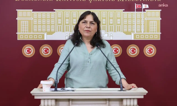 DEM Partili Saki’den “Ailem Güvende” operasyonları ve LGBTİ+ hesaplarına erişim engellerine ilişkin Bakan Gürl