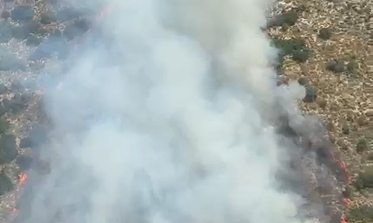 Forest Fire in Demre: Teams are Intervening - Last Minute