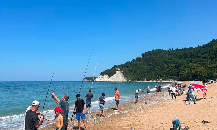 Ayrıntılar Netleşti: Deniz Suyu Soğuyunca İstavrit Kıyıya Yaklaştı - Son Dakika ve Merak Edilenler