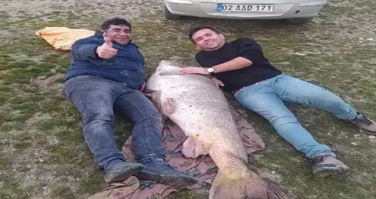 Gündemden Son Bilgiler: Denizi olmayan şehirde yakalandı: Tanesi 60 bin liraya satılıyor - Haberleri ve Merak