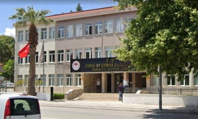 Son Gelişme: Denizli'ye ithalat kontrollerinde yeni yetki - Son Dakika Haberleri: Gelişmeler Takip Ediliyor