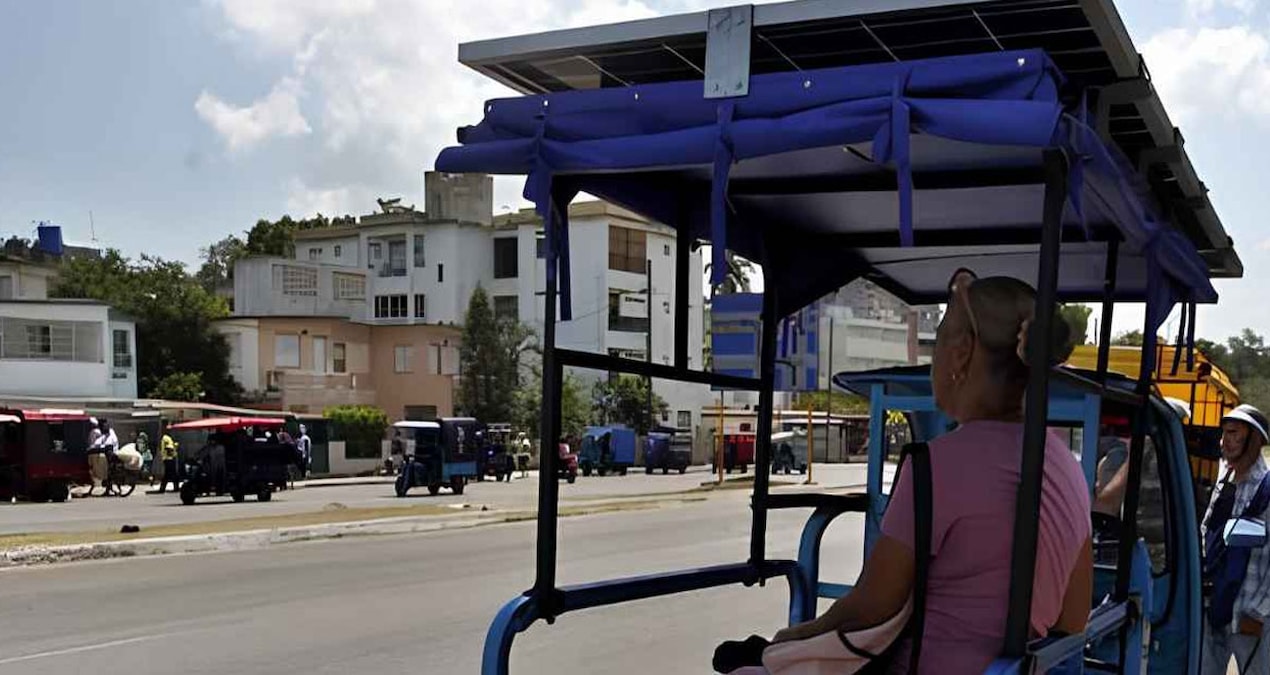 Devletin yapmadığını 21 yaşındaki genç yaptı: Kapış kapış gidiyor - En Son Haber