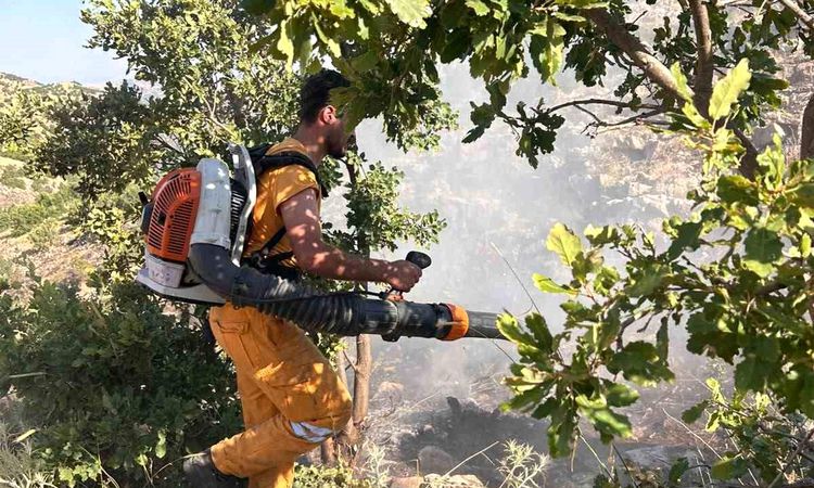 Nearly 15 decares of forest area burned in Diyarbakır - News