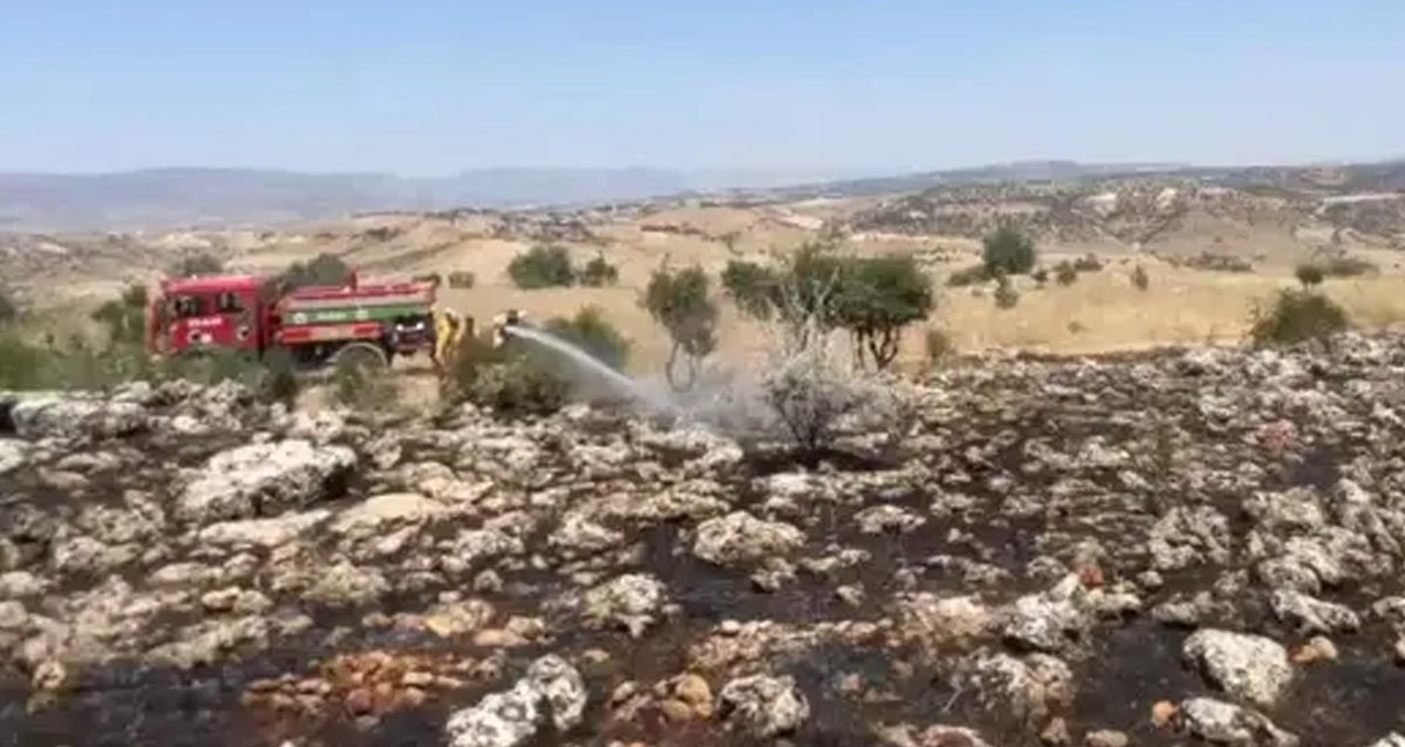 270 decare area in Diyarbakır turned to ashes - News