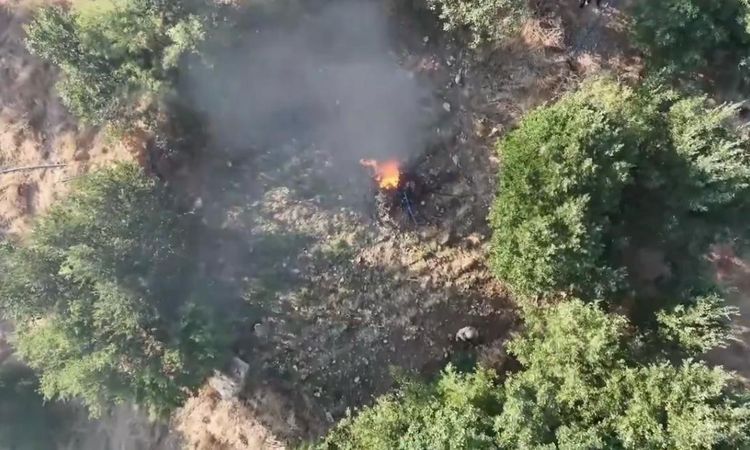 Diyarbakır'da Büyük Uyuşturucu Operasyonu: 247 Bin Kök Kenevir İmha Edildi - Son Dakika | İşte Tüm Ayrıntılar