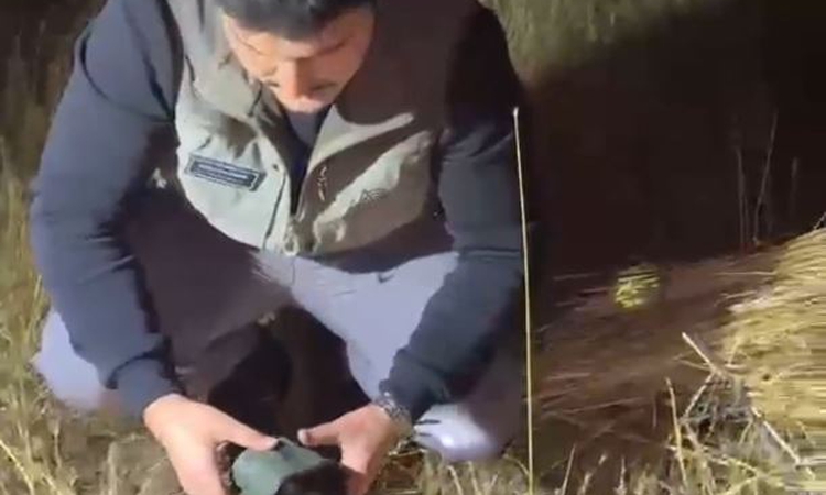 DKMP ekipleri yasa dışı avcılıkla mücadelede yasak ses cihazlarına el koyuyor