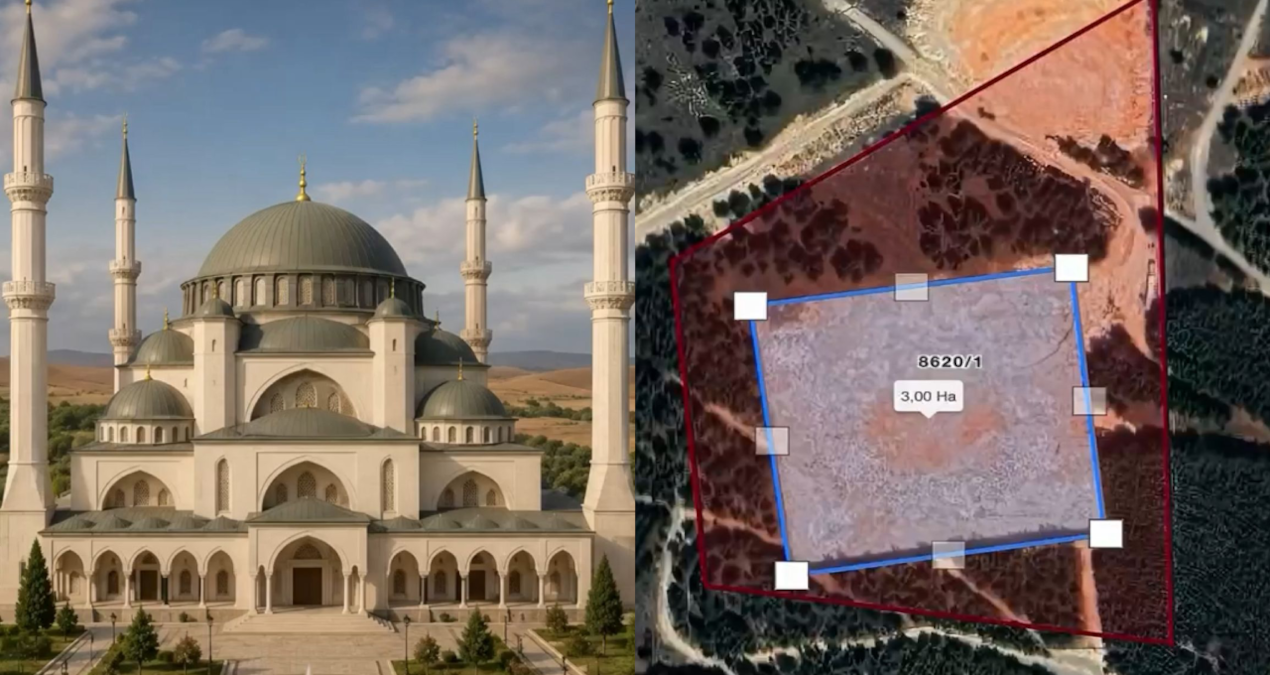 “Dünyanın en büyük camisi” denmişti: Yüzlerce ağaç kesildi, ortada inşaat yok - En Son Haber: Gelişmeler Takip