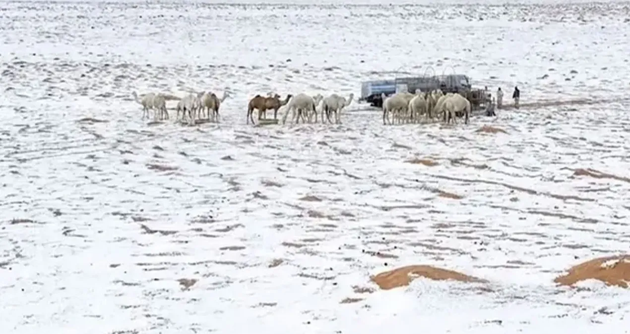 Son Gelişme: 'Dünyanın dengesi şaştı' dedirten fotoğraf... - En Son Haber | İşte Tüm Ayrıntılar