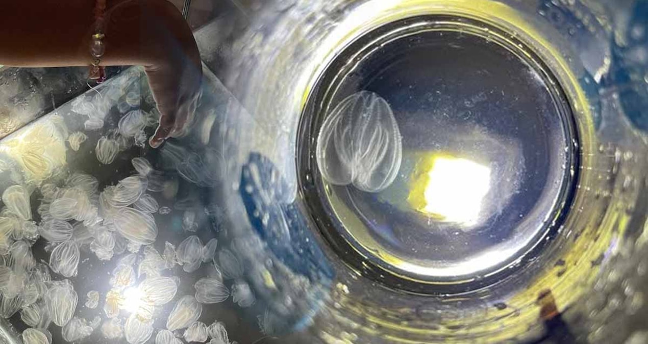 Durdurulamıyor, her şeyi yutuyor! Koca ekonomi çökmek üzere: Sakın hafife almayın! - Son Dakika Haberleri ve M