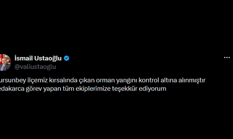 Gündemden Son Bilgiler: Dursunbey'de orman alevlerı dizginlendi - Haberleri ve Merak Edilenler