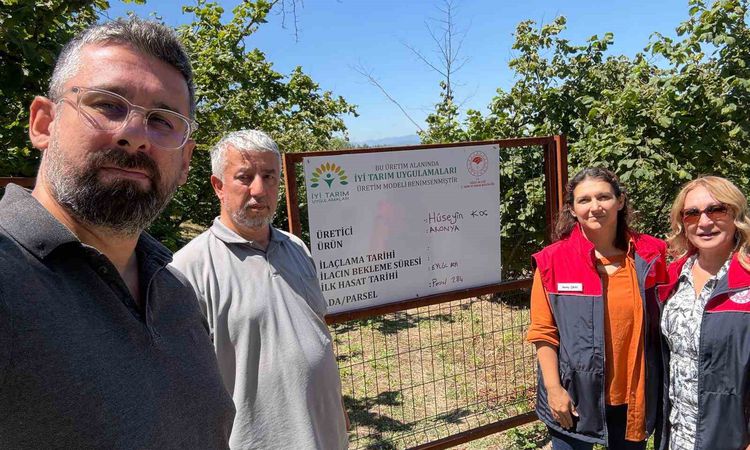 Kritik Açıklama: Düzce'de Üzümsü Meyvelerde İyi Tarım Uygulamaları Projesi Denetimleri Tamamlandı - Son Dakika