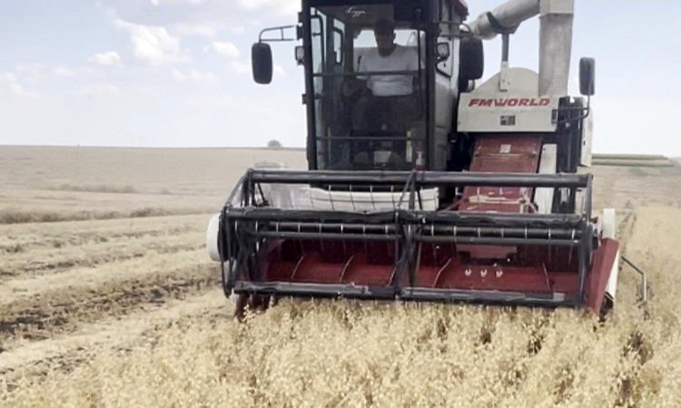 Chickpea harvest has started in Edirne: Producers are happy - Breaking News