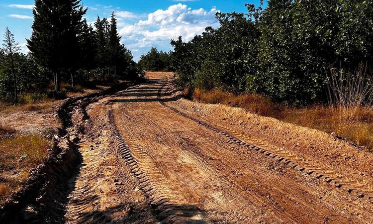 Gündemden Son Bilgiler: Edirne'de orman alevlerlarına karşı yol seferberliği - Haberleri - Son Dakika Bilgiler