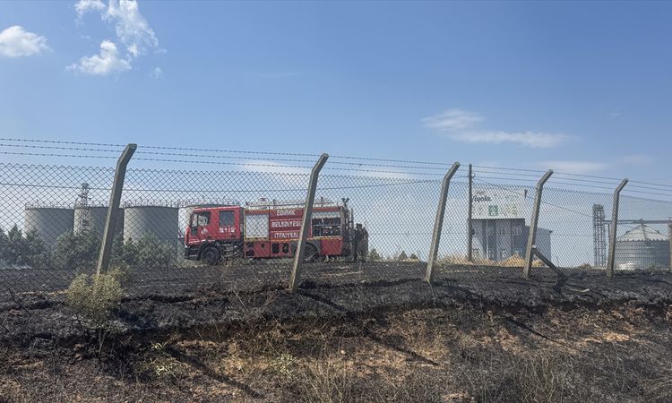 Gündemden Son Bilgiler: Edirne'de Otluk Yangını Kontrol Altına Alındı - Haberleri: Gelişmeler Takip Ediliyor