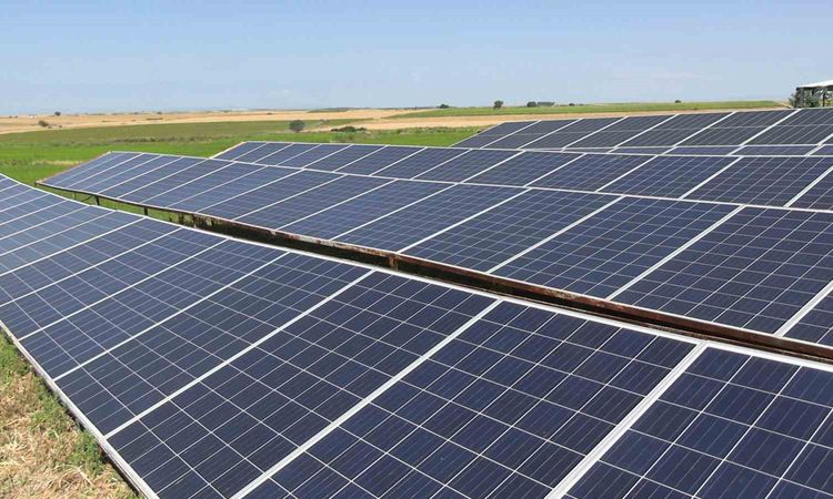 Gündemden Son Bilgiler: Edirne’de üreticiler tarlasını dronla ilaçlıyor, güneş enerjisiyle suluyor - Haberleri