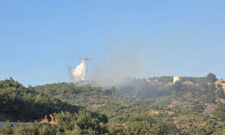 Edremit'te makilik alevlerı kontrol altında - Son Dakika - Son Dakika Bilgileri