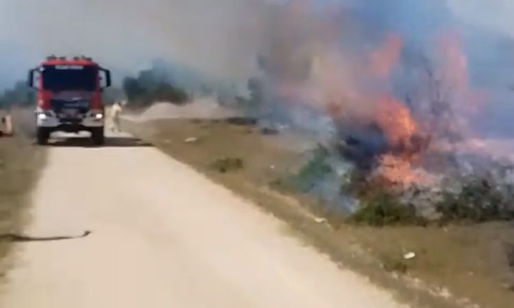 Eflani Orman Yangını Kontrol Altına Alındı ve Merak Edilenler
