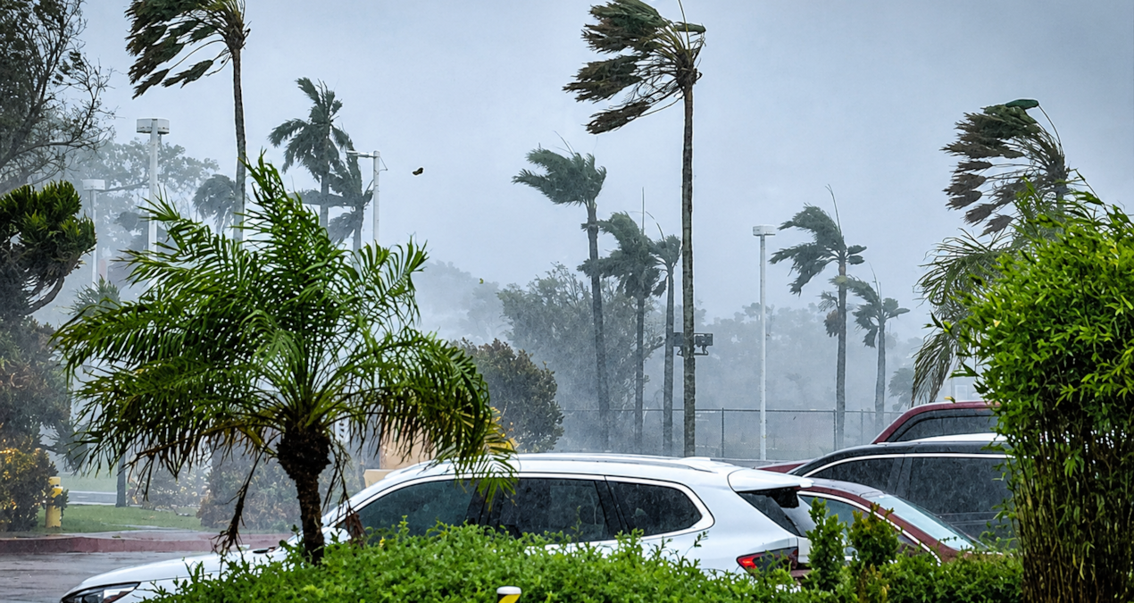 El Nino set it in motion: It moves forward, destroying everything in front of it - Breaking News